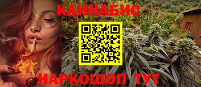 молекула духа Будённовск