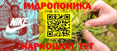 молекула духа Будённовск