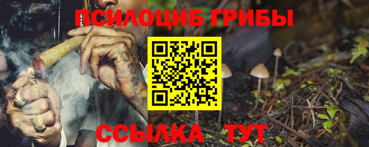Галлюциногенные грибы прущие грибы Кимры